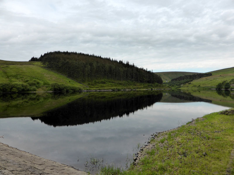 Lower Ogden res