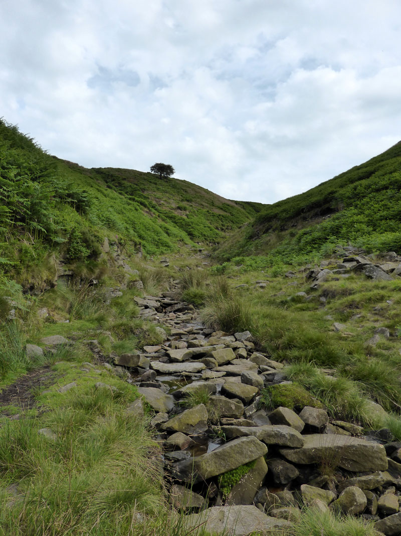 Boar Clough