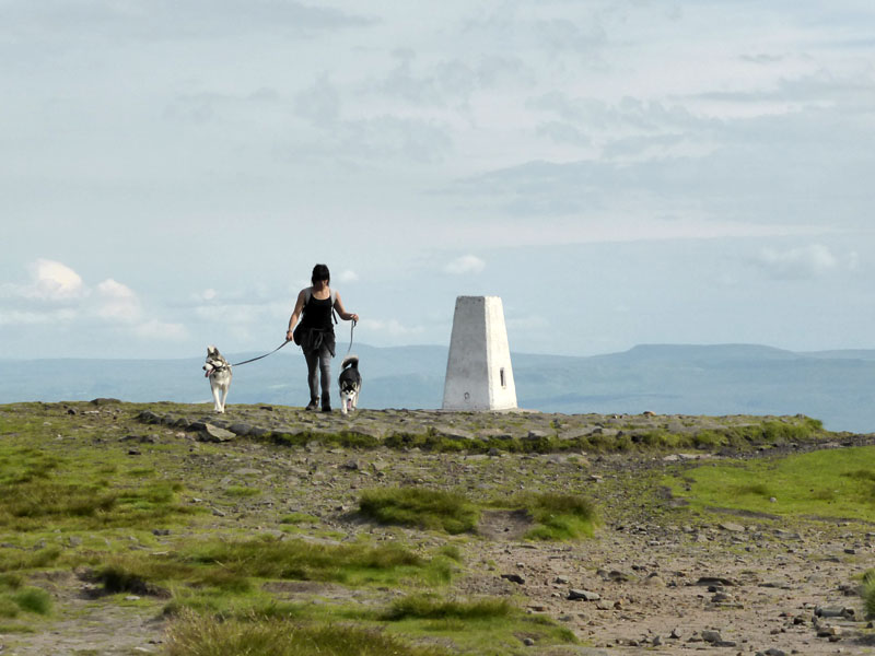 Pendle dog walker