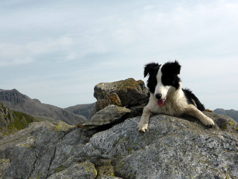 Molly on Slight Side