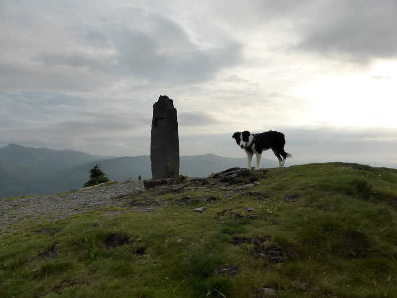 Dodd Summit