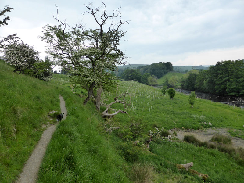 Ribble Rivers Trust