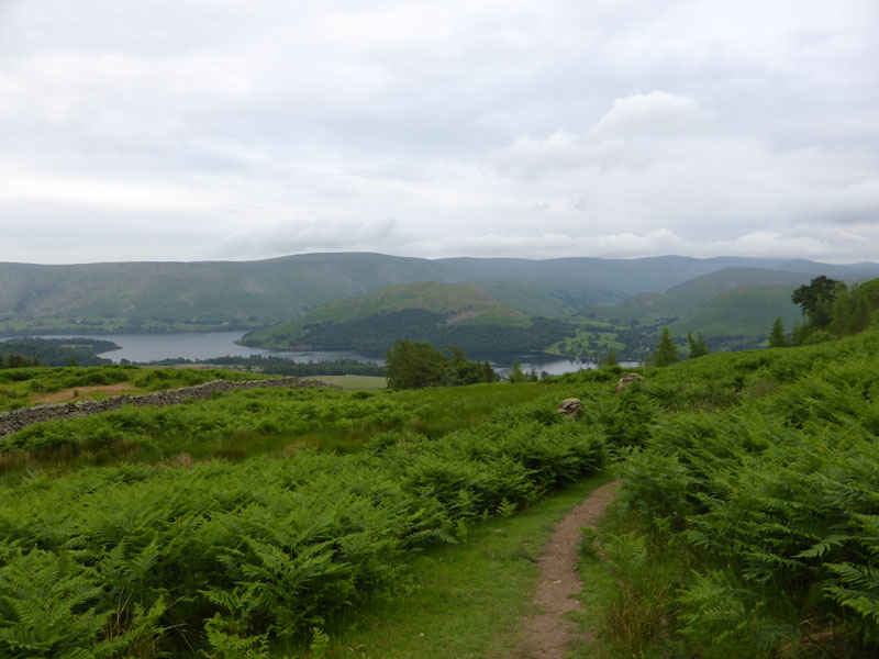 Hallin fell