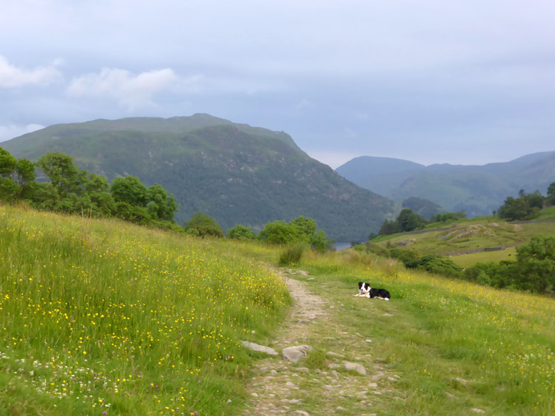 Place Fell