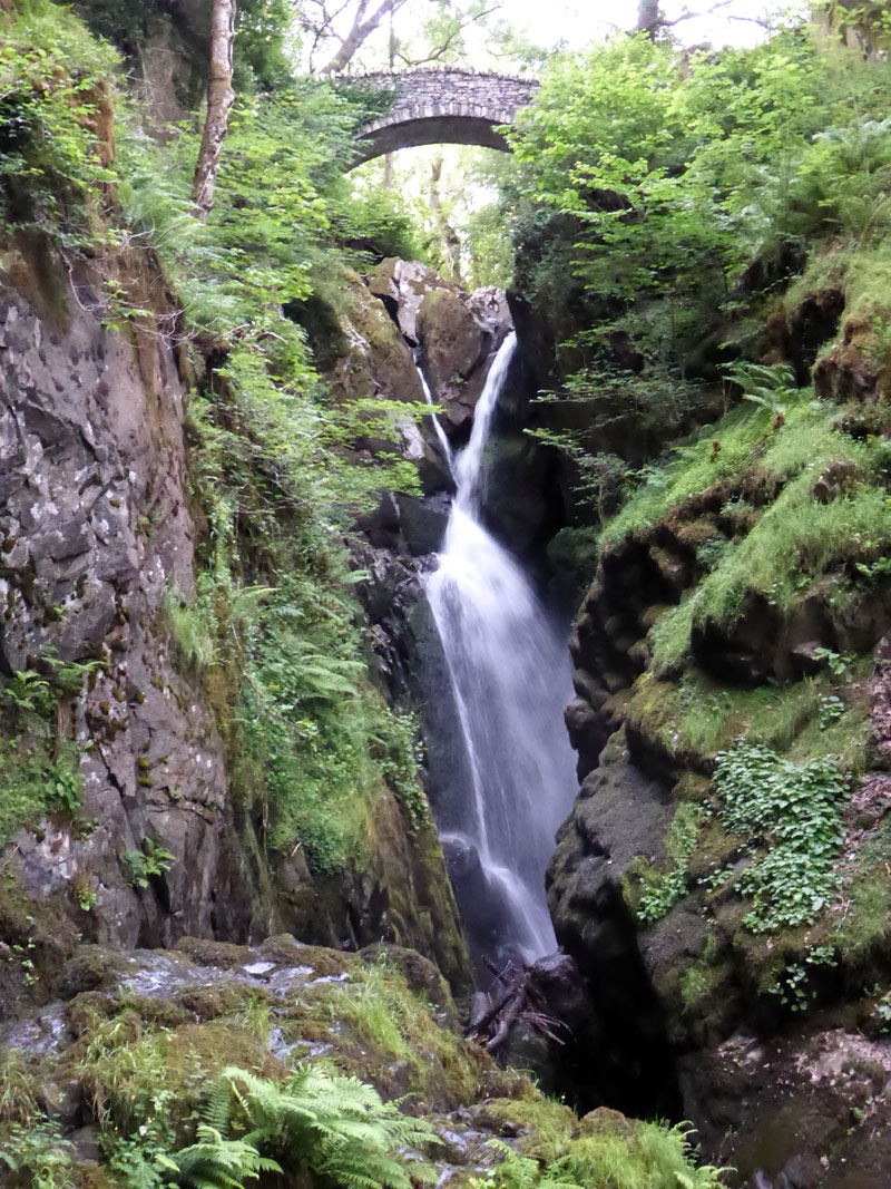 Aira Force