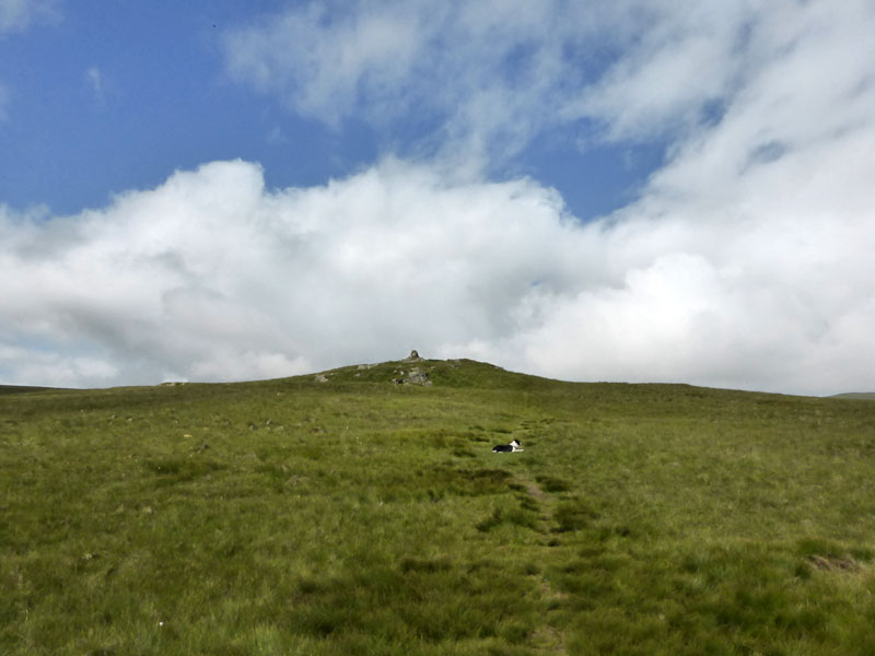 Cairn