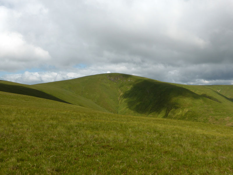 Stybarrow Dodd
