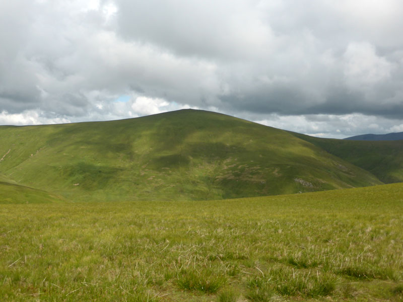 Great Dodd