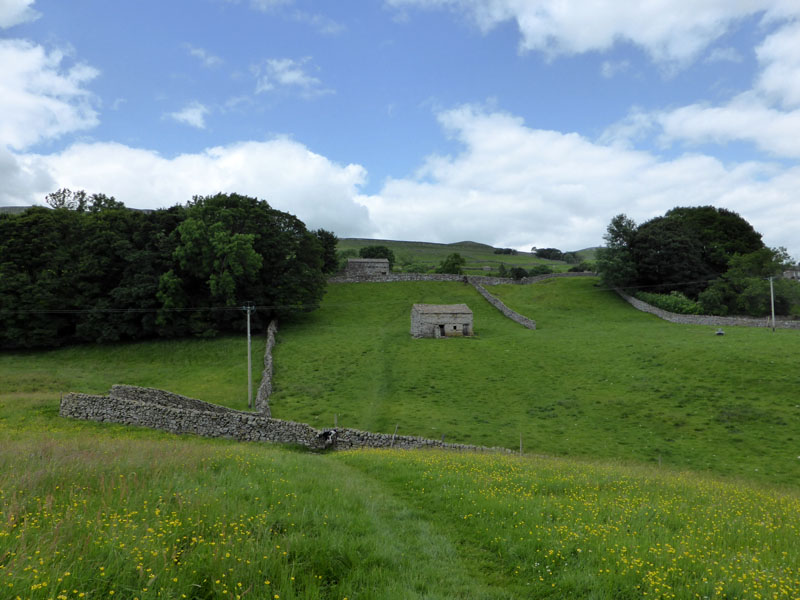 Sedbusk fields