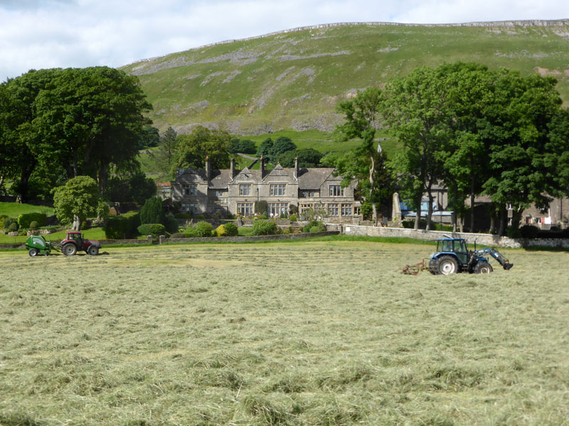 Grass Cutting