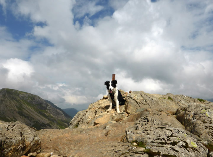 Molly on Haystacks