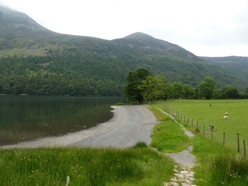 Buttermere Shoreline