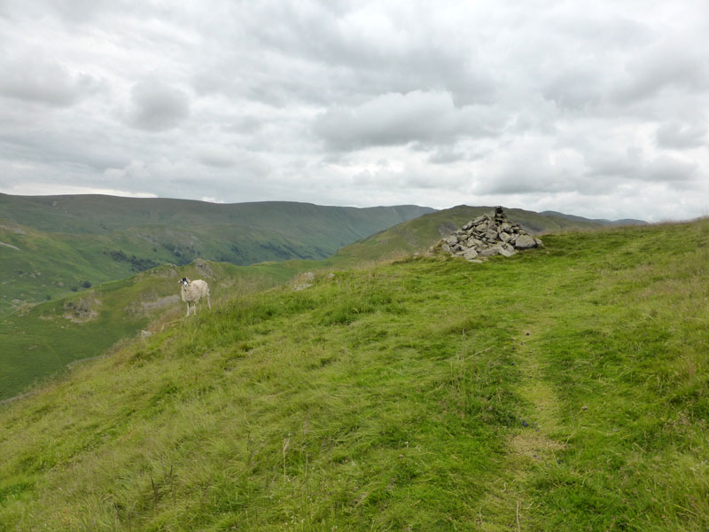 Sleet Fell top