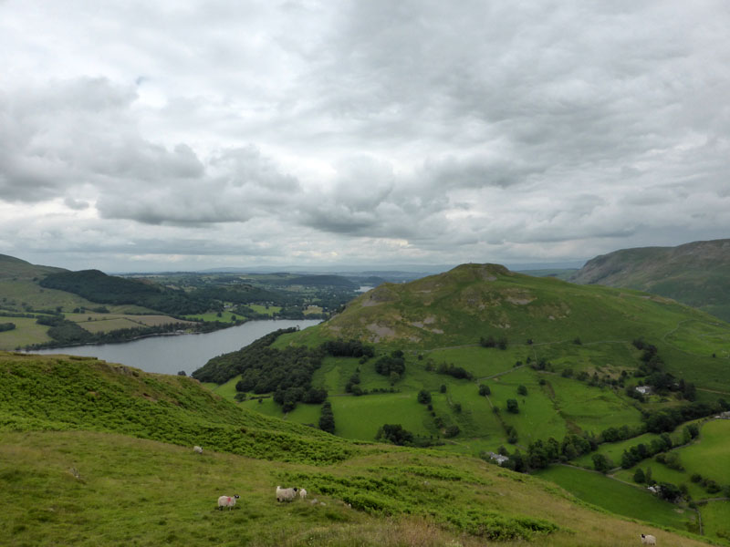 Hallin Fell