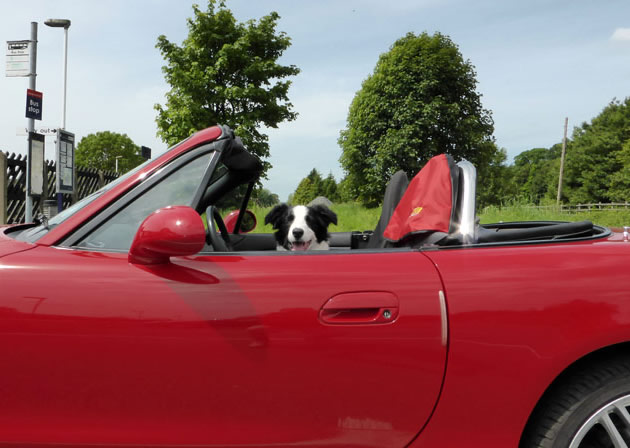 Mazda Molly