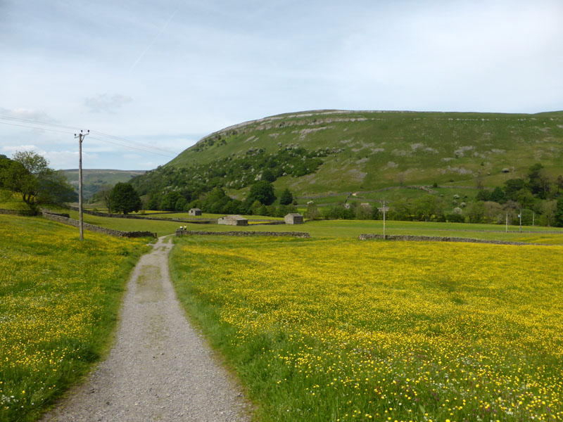 Muker Meadows