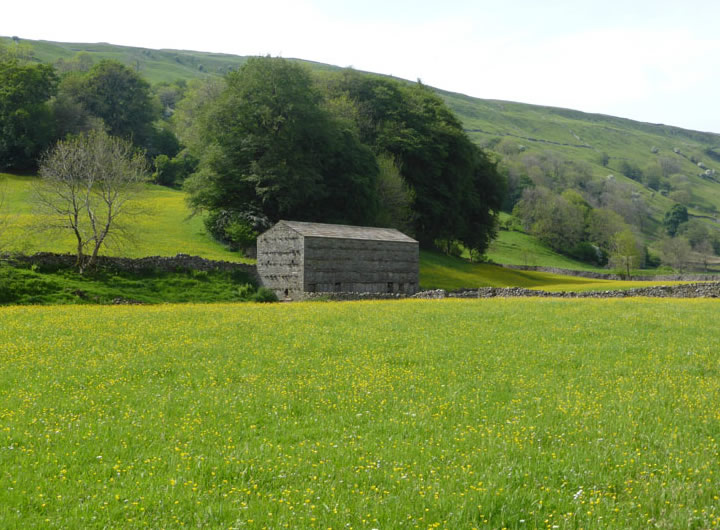 Barn