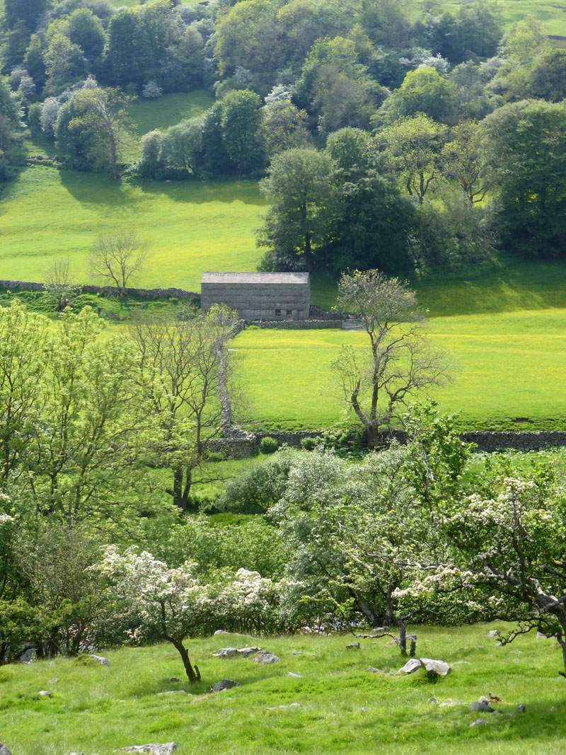 Swaledale