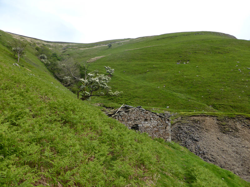 Arn Gill