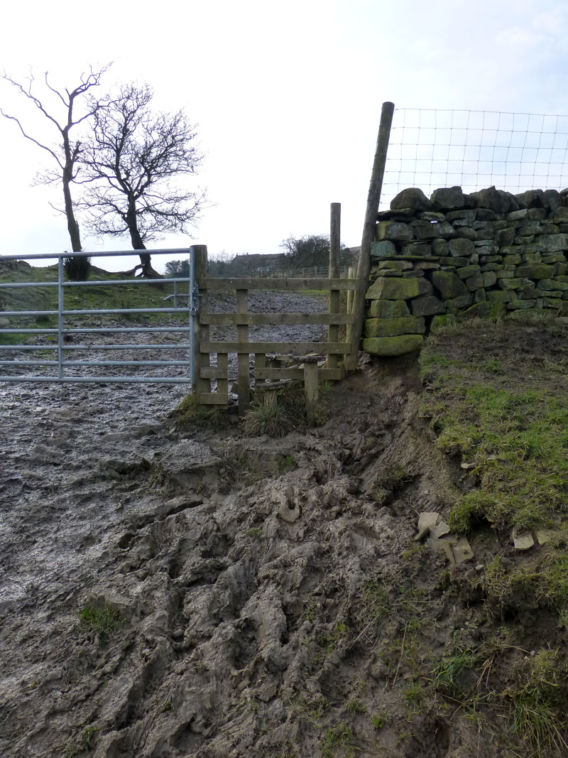 Muddy Lanes