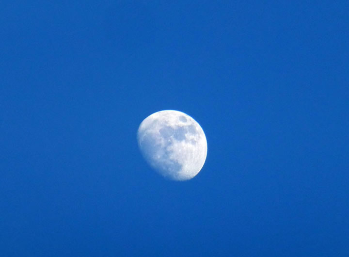 Moon