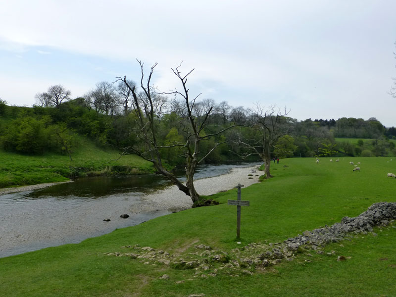 River Wharfe at Grassington