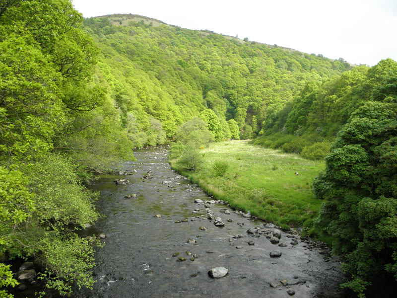 River Greta