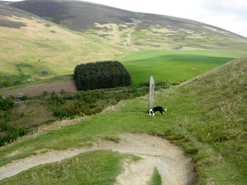 Latriig Gatepost