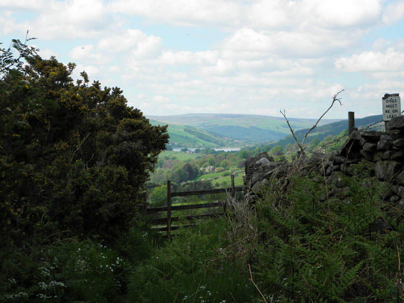 Gouthwaite Reservoir