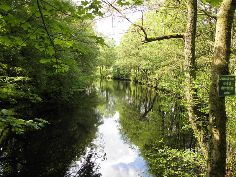 The Nidd