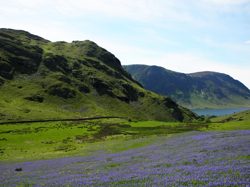 Rannerdale