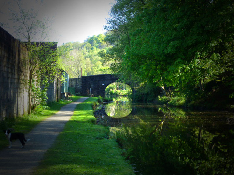 Rochdale Canal