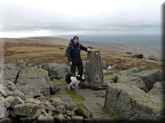 Molly on top of Great Whernside
