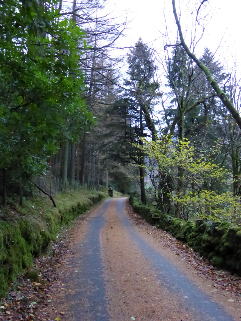 Lane to Grisedale