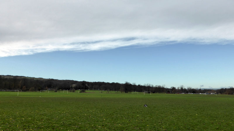 Towneley Fields