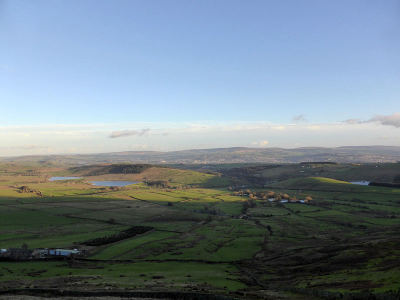 Black moss reservoirs