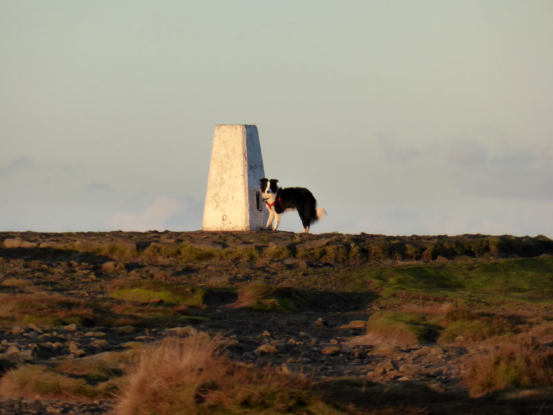 Pendle Summit