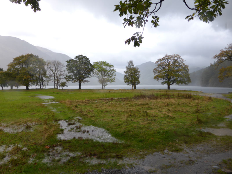 Buttermere trees