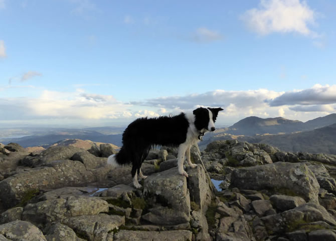 Molly on Pike O'Stickle