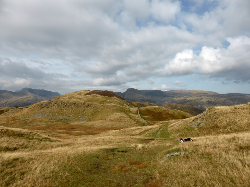 Lingmoor Fell