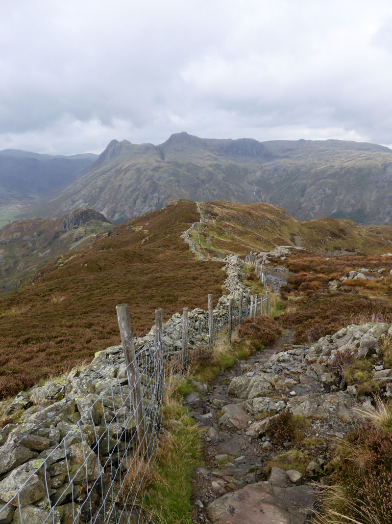 Lingmoor Fell Wall