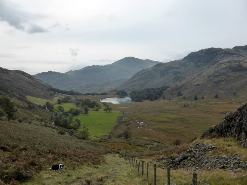 Blea Tarn