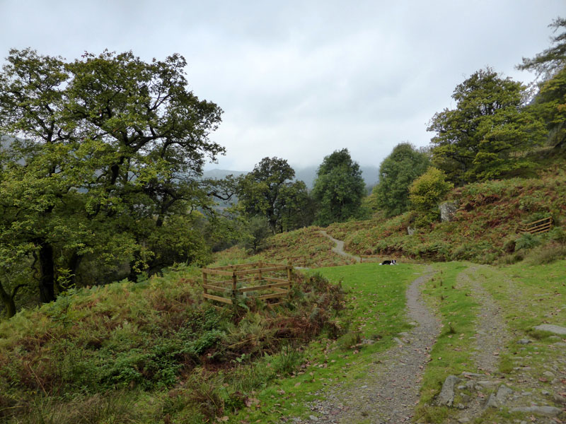 Grasmere Coffin Route