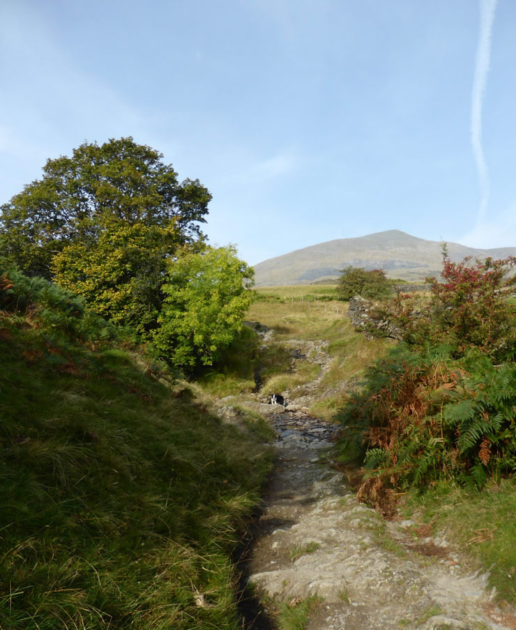 Coniston Walk