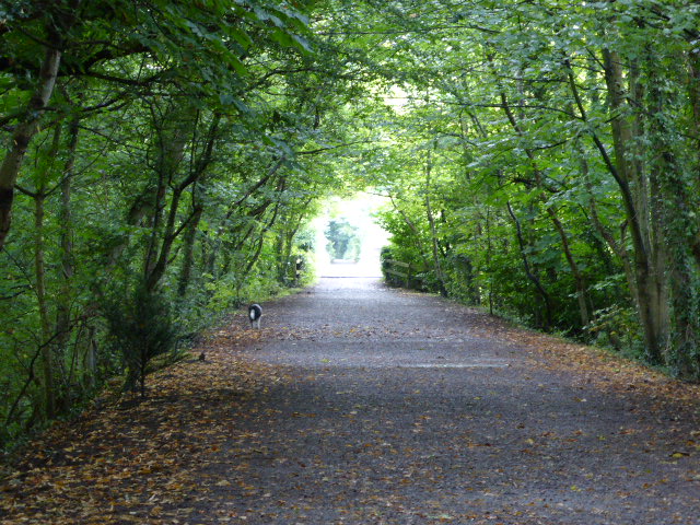 Railway Path