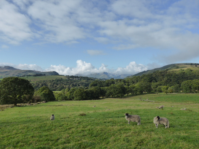 North-Western Fells