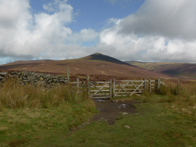 Great Calva