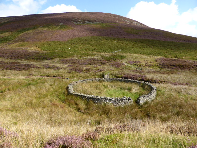 circular sheepfold