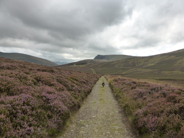 Skiddaw House Supply Road