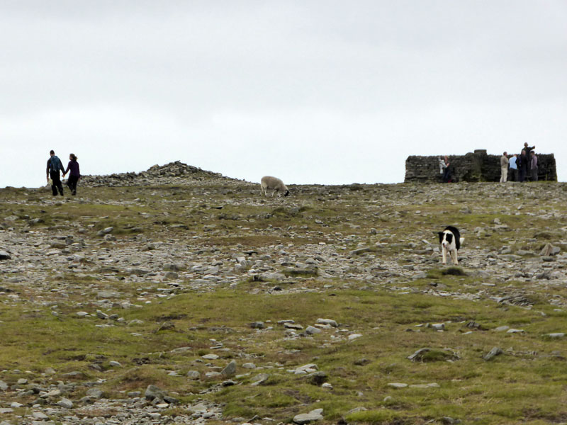 Ingleborough Summit